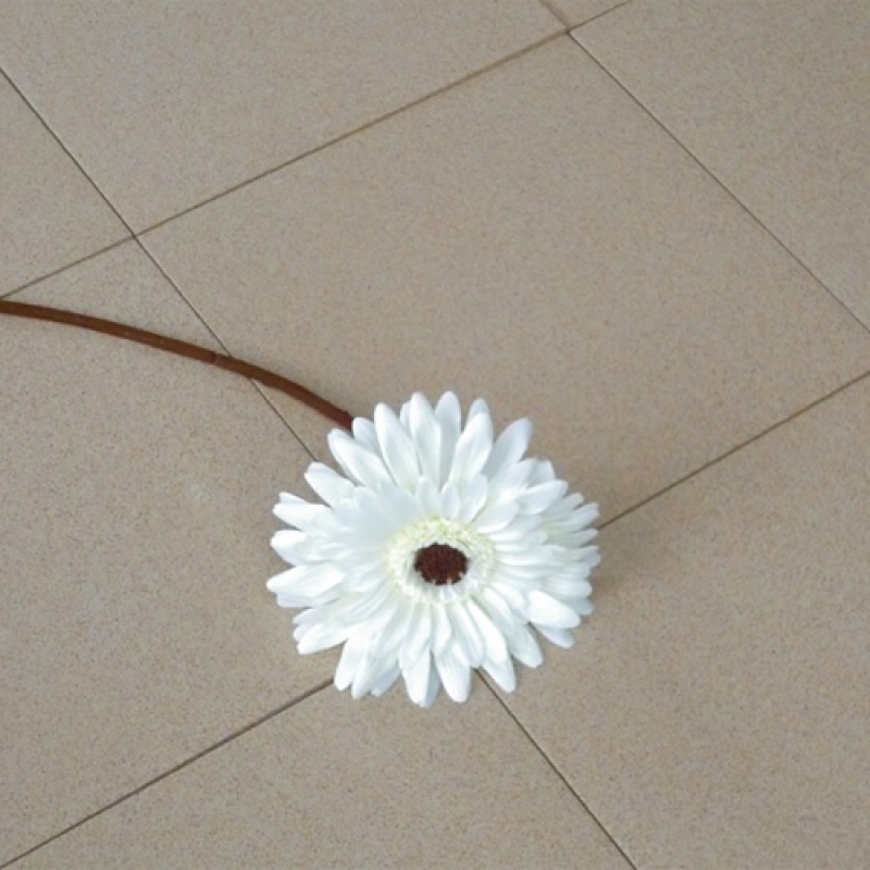 Product 39653 800x800