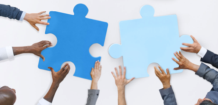webselo customers and marketing