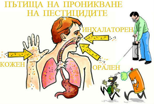 Дипиридили